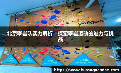 三亿体育登录入口