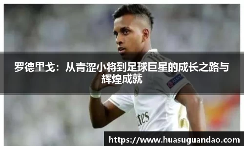 三亿体育登录入口