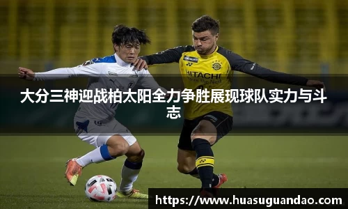 三亿体育官网入口